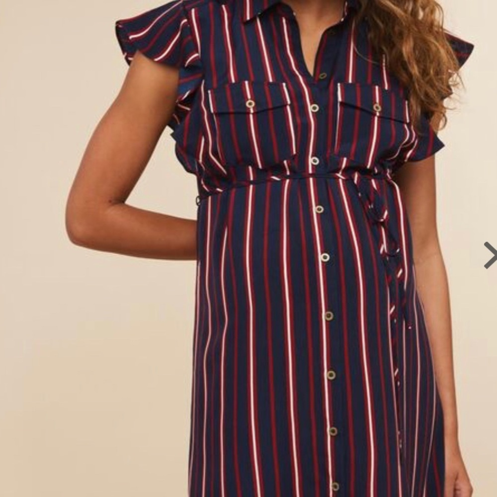 Motherhood maternity dress NWT